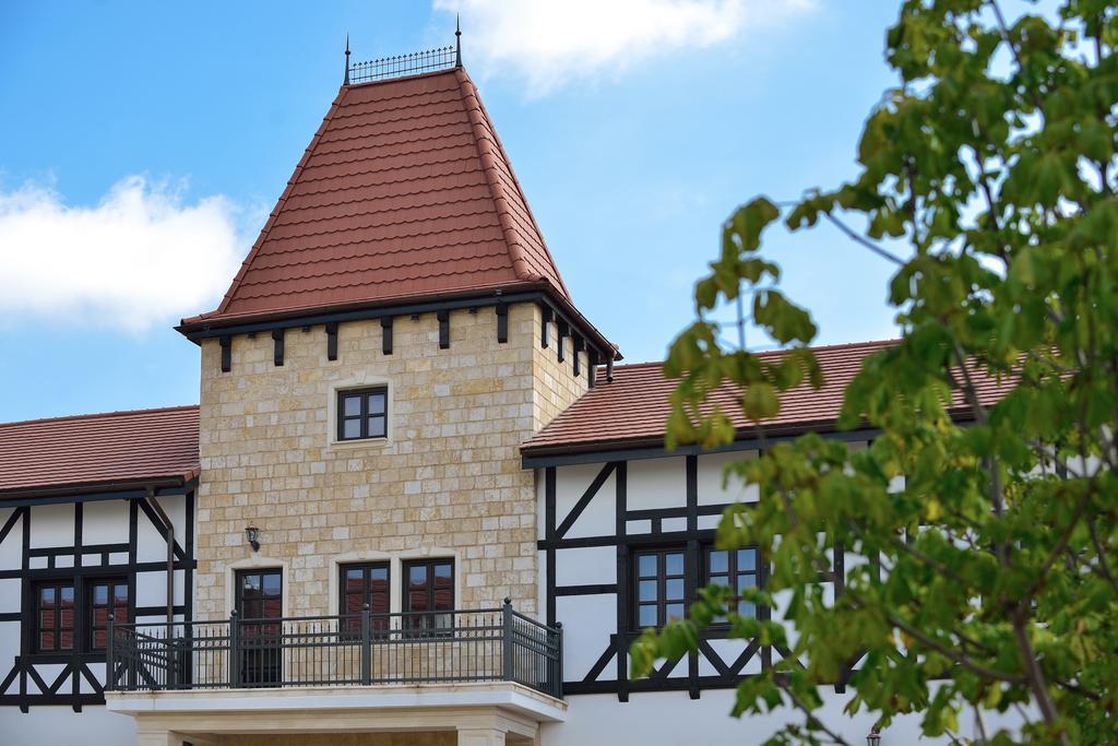 Hotel Castel Royal Mosnita Noua Екстериор снимка