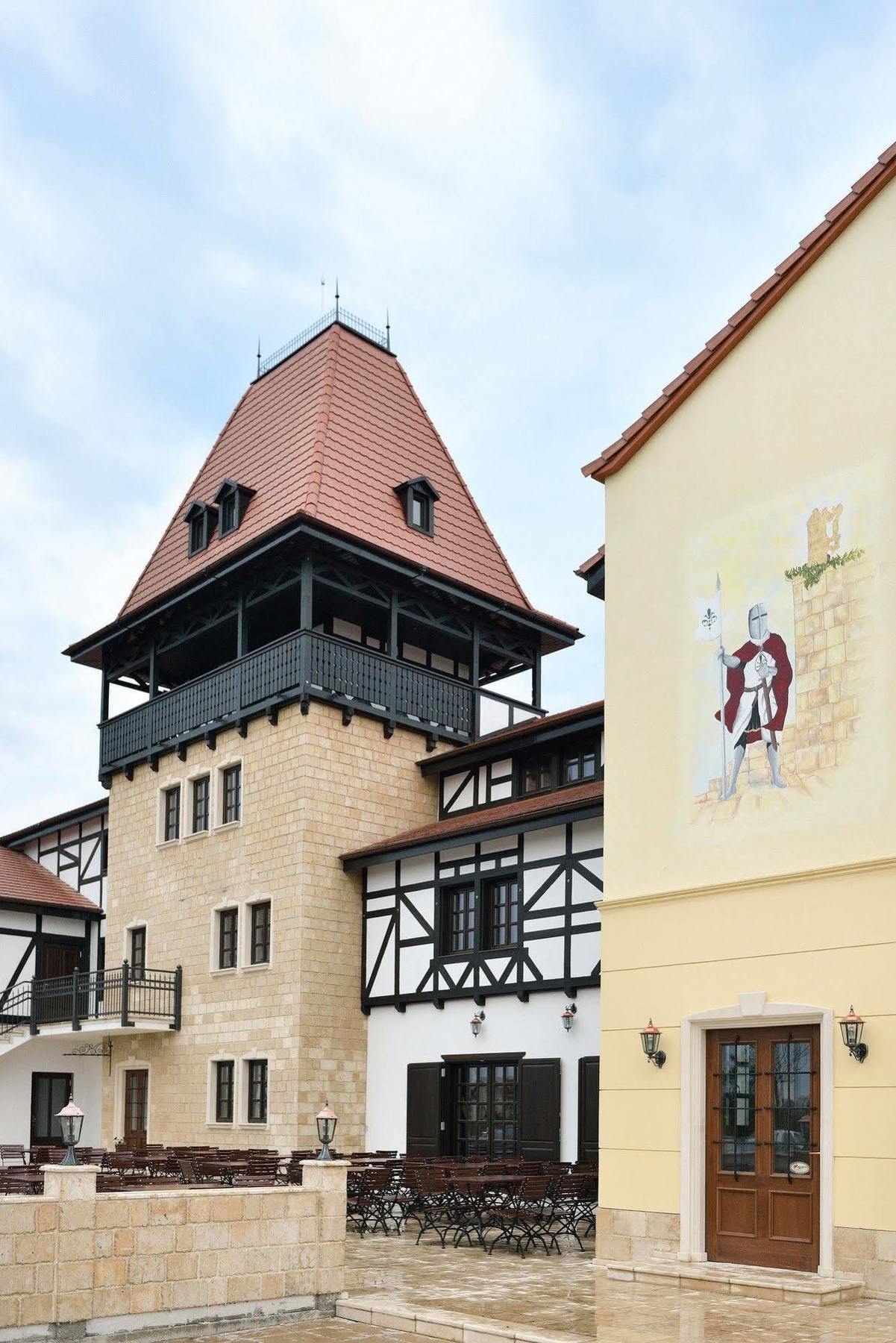Hotel Castel Royal Mosnita Noua Екстериор снимка